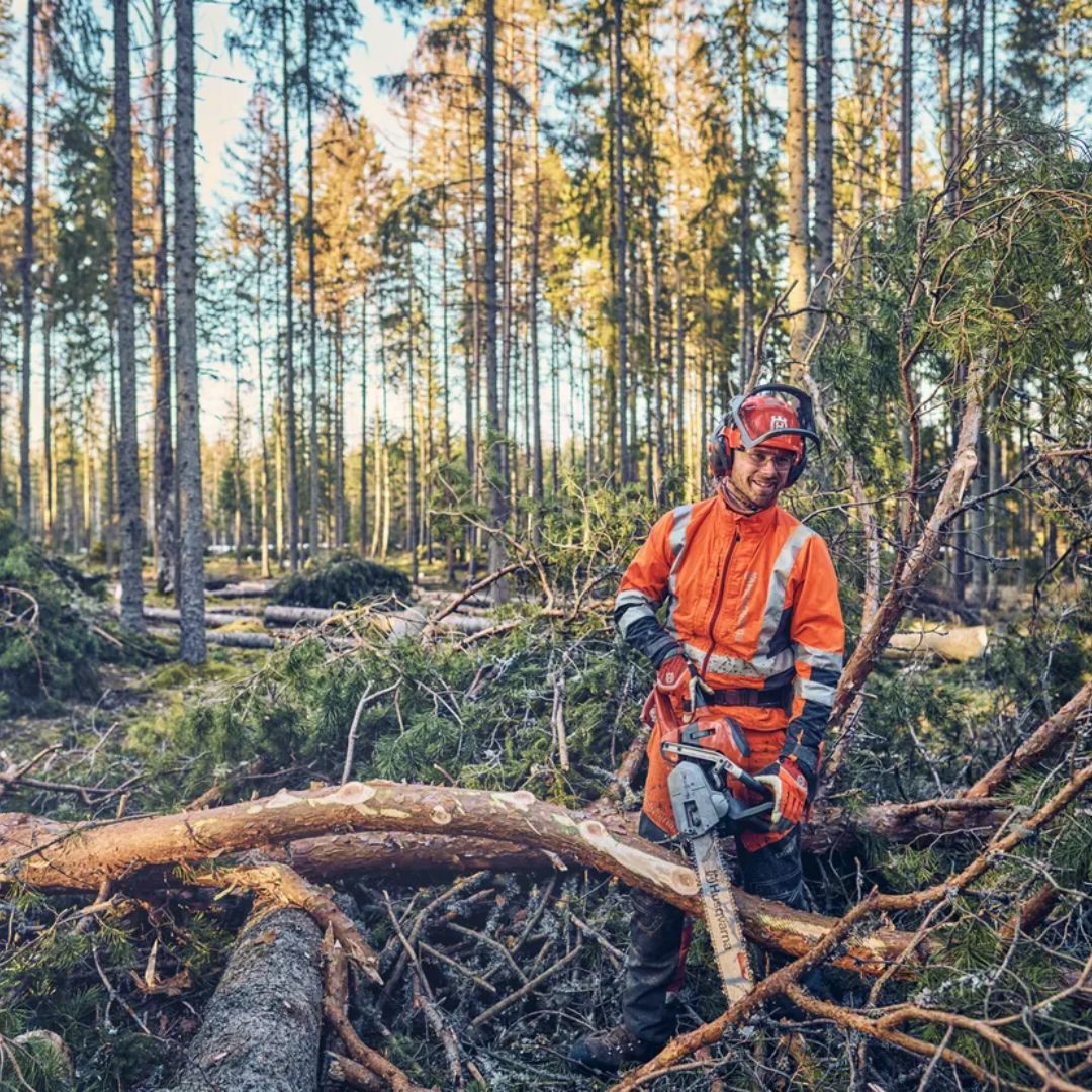 cutting off branches