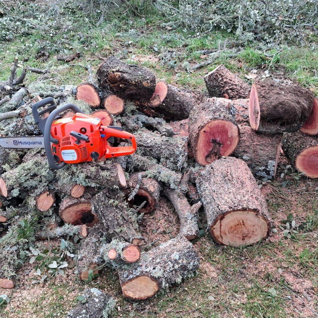 Husqvarna 272xp chainsaw more work